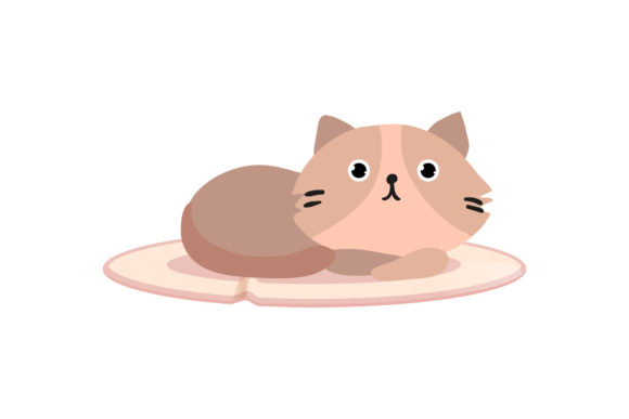 Cat Animal Cute Review