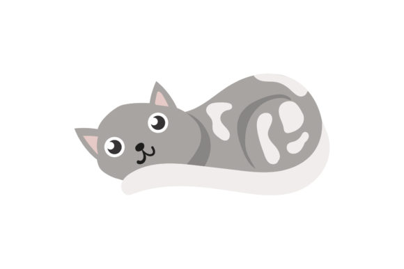 Looking Black Love Lying Cat