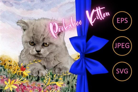 Peekaboo Kitten Review